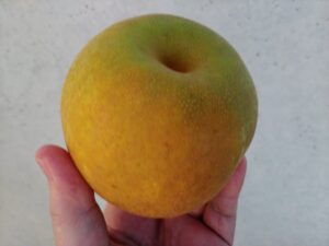 EEEEE